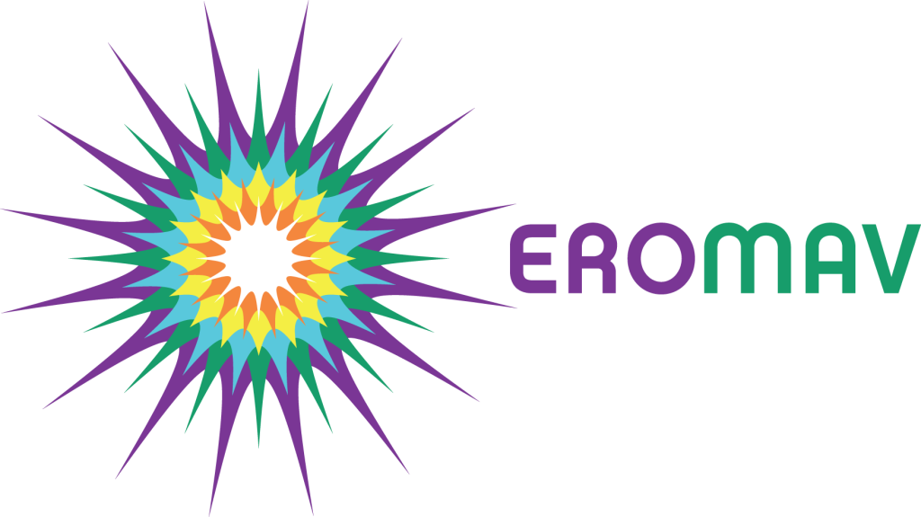 Website designed by Eromav logo.